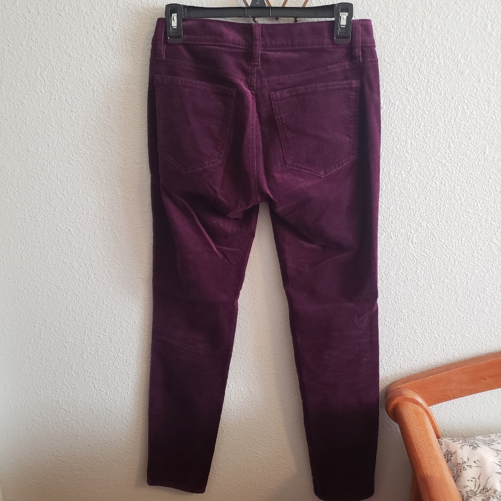 Anne Taylor Factory Purple Velvet Pants - Picture 2 of 5